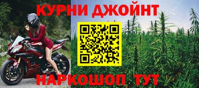 гашик Ливны